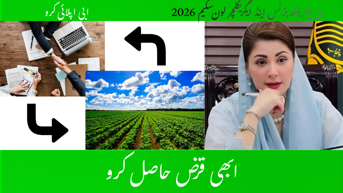 Read more about the article PM Youth Business & Agriculture Loan Scheme 2026